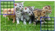 Dynamic Inference